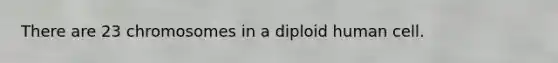 There are 23 chromosomes in a diploid human cell.