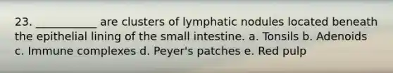 23. ___________ are clusters of lymphatic nodules located beneath the epithelial lining of the small intestine. a. Tonsils b. Adenoids c. Immune complexes d. Peyer's patches e. Red pulp