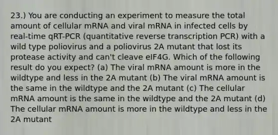 23.) You are conducting an experiment to measure the total amount of cellular mRNA and viral mRNA in infected cells by real-time qRT-PCR (quantitative <a href='https://www.questionai.com/knowledge/kNiXy9k6SK-reverse-transcription' class='anchor-knowledge'>reverse transcription</a> PCR) with a wild type poliovirus and a poliovirus 2A mutant that lost its protease activity and can't cleave eIF4G. Which of the following result do you expect? (a) The viral mRNA amount is more in the wildtype and less in the 2A mutant (b) The viral mRNA amount is the same in the wildtype and the 2A mutant (c) The cellular mRNA amount is the same in the wildtype and the 2A mutant (d) The cellular mRNA amount is more in the wildtype and less in the 2A mutant