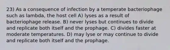 23) As a consequence of infection by a temperate bacteriophage such as lambda, the host cell A) lyses as a result of bacteriophage release. B) never lyses but continues to divide and replicate both itself and the prophage. C) divides faster at moderate temperatures. D) may lyse or may continue to divide and replicate both itself and the prophage.