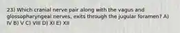 23) Which cranial nerve pair along with the vagus and glossopharyngeal nerves, exits through the jugular foramen? A) IV B) V C) VIII D) XI E) XII