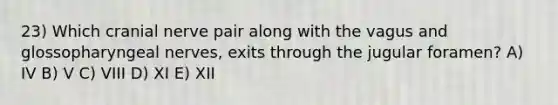 23) Which cranial nerve pair along with the vagus and glossopharyngeal nerves, exits through the jugular foramen? A) IV B) V C) VIII D) XI E) XII