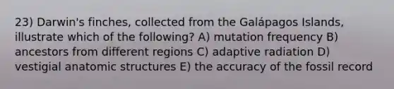 23) Darwin's finches, collected from the Galápagos Islands, illustrate which of the following? A) mutation frequency B) ancestors from different regions C) adaptive radiation D) vestigial anatomic structures E) the accuracy of the fossil record