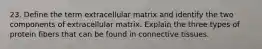 23. Define the term extracellular matrix and identify the two components of extracellular matrix. Explain the three types of protein fibers that can be found in connective tissues.