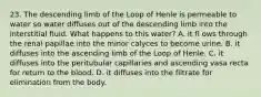 23. The descending limb of the Loop of Henle is permeable to water so water diffuses out of the descending limb into the interstitial fluid. What happens to this water? A. it fl ows through the renal papillae into the minor calyces to become urine. B. it diffuses into the ascending limb of the Loop of Henle. C. it diffuses into the peritubular capillaries and ascending vasa recta for return to the blood. D. it diffuses into the filtrate for elimination from the body.