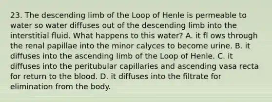 23. The descending limb of the Loop of Henle is permeable to water so water diffuses out of the descending limb into the interstitial fluid. What happens to this water? A. it fl ows through the renal papillae into the minor calyces to become urine. B. it diffuses into the ascending limb of the Loop of Henle. C. it diffuses into the peritubular capillaries and ascending vasa recta for return to the blood. D. it diffuses into the filtrate for elimination from the body.