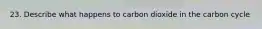 23. Describe what happens to carbon dioxide in the carbon cycle