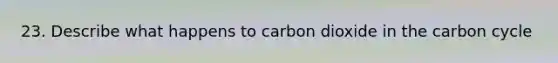 23. Describe what happens to carbon dioxide in the carbon cycle