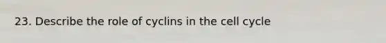 23. Describe the role of cyclins in the cell cycle