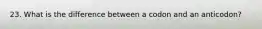 23. What is the difference between a codon and an anticodon?