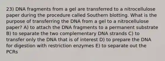 23) DNA fragments from a gel are transferred to a nitrocellulose paper during the procedure called Southern blotting. What is the purpose of transferring the DNA from a gel to a nitrocellulose paper? A) to attach the DNA fragments to a permanent substrate B) to separate the two complementary DNA strands C) to transfer only the DNA that is of interest D) to prepare the DNA for digestion with restriction enzymes E) to separate out the PCRs