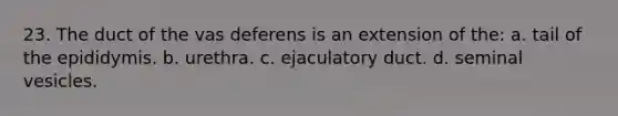 23. The duct of the vas deferens is an extension of the: a. tail of the epididymis. b. urethra. c. ejaculatory duct. d. seminal vesicles.