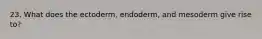 23. What does the ectoderm, endoderm, and mesoderm give rise to?