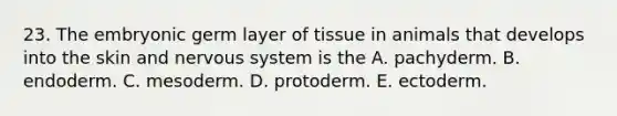 23. The embryonic germ layer of tissue in animals that develops into the skin and nervous system is the A. pachyderm. B. endoderm. C. mesoderm. D. protoderm. E. ectoderm.