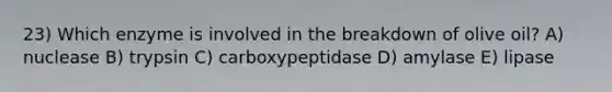 23) Which enzyme is involved in the breakdown of olive oil? A) nuclease B) trypsin C) carboxypeptidase D) amylase E) lipase