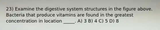 23) Examine the digestive system structures in the figure above. Bacteria that produce vitamins are found in the greatest concentration in location _____. A) 3 B) 4 C) 5 D) 8