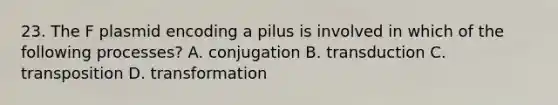 23. The F plasmid encoding a pilus is involved in which of the following processes? A. conjugation B. transduction C. transposition D. transformation