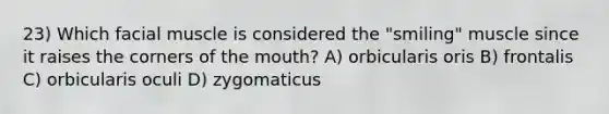 23) Which facial muscle is considered the "smiling" muscle since it raises the corners of the mouth? A) orbicularis oris B) frontalis C) orbicularis oculi D) zygomaticus