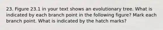 23. Figure 23.1 in your text shows an evolutionary tree. What is indicated by each branch point in the following figure? Mark each branch point. What is indicated by the hatch marks?