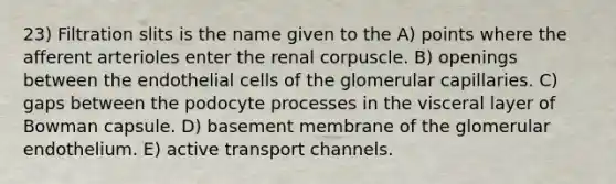 23) Filtration slits is the name given to the A) points where the afferent arterioles enter the renal corpuscle. B) openings between the endothelial cells of the glomerular capillaries. C) gaps between the podocyte processes in the visceral layer of Bowman capsule. D) basement membrane of the glomerular endothelium. E) active transport channels.