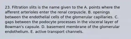 23. Filtration slits is the name given to the A. points where the afferent arterioles enter the renal corpuscle. B. openings between the endothelial cells of the glomerular capillaries. C. gaps between the podocyte processes in the visceral layer of Bowman's capsule. D. basement membrane of the glomerular endothelium. E. active transport channels.