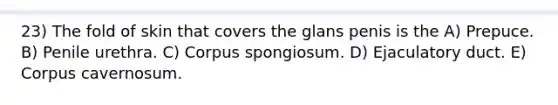 23) The fold of skin that covers the glans penis is the A) Prepuce. B) Penile urethra. C) Corpus spongiosum. D) Ejaculatory duct. E) Corpus cavernosum.