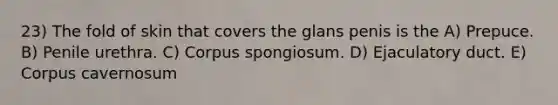 23) The fold of skin that covers the glans penis is the A) Prepuce. B) Penile urethra. C) Corpus spongiosum. D) Ejaculatory duct. E) Corpus cavernosum