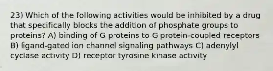 23) Which of the following activities would be inhibited by a drug that specifically blocks the addition of phosphate groups to proteins? A) binding of G proteins to G protein-coupled receptors B) ligand-gated ion channel signaling pathways C) adenylyl cyclase activity D) receptor tyrosine kinase activity