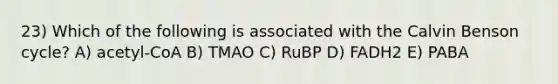 23) Which of the following is associated with the Calvin Benson cycle? A) acetyl-CoA B) TMAO C) RuBP D) FADH2 E) PABA