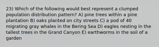 23) Which of the following would best represent a clumped population distribution pattern? A) pine trees within a pine plantation B) oaks planted on city streets C) a pod of 40 migrating gray whales in the Bering Sea D) eagles nesting in the tallest trees in the Grand Canyon E) earthworms in the soil of a garden