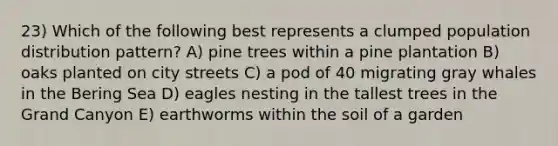 23) Which of the following best represents a clumped population distribution pattern? A) pine trees within a pine plantation B) oaks planted on city streets C) a pod of 40 migrating gray whales in the Bering Sea D) eagles nesting in the tallest trees in the Grand Canyon E) earthworms within the soil of a garden