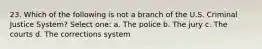 23. Which of the following is not a branch of the U.S. Criminal Justice System? Select one: a. The police b. The jury c. The courts d. The corrections system