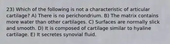 23) Which of the following is not a characteristic of articular cartilage? A) There is no perichondrium. B) The matrix contains more water than other cartilages. C) Surfaces are normally slick and smooth. D) It is composed of cartilage similar to hyaline cartilage. E) It secretes synovial fluid.