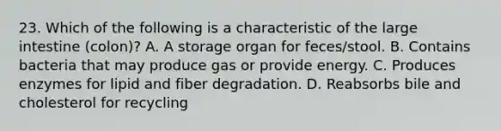 23. Which of the following is a characteristic of the large intestine (colon)? A. A storage organ for feces/stool. B. Contains bacteria that may produce gas or provide energy. C. Produces enzymes for lipid and fiber degradation. D. Reabsorbs bile and cholesterol for recycling