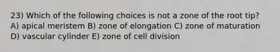 23) Which of the following choices is not a zone of the root tip? A) apical meristem B) zone of elongation C) zone of maturation D) vascular cylinder E) zone of cell division