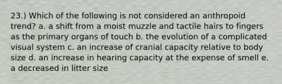 23.) Which of the following is not considered an anthropoid trend? a. a shift from a moist muzzle and tactile hairs to fingers as the primary organs of touch b. the evolution of a complicated visual system c. an increase of cranial capacity relative to body size d. an increase in hearing capacity at the expense of smell e. a decreased in litter size