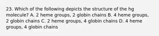 23. Which of the following depicts the structure of the hg molecule? A. 2 heme groups, 2 globin chains B. 4 heme groups, 2 globin chains C. 2 heme groups, 4 globin chains D. 4 heme groups, 4 globin chains