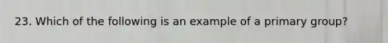 23. Which of the following is an example of a primary group?