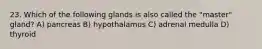 23. Which of the following glands is also called the "master" gland? A) pancreas B) hypothalamus C) adrenal medulla D) thyroid