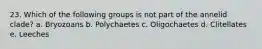 23. Which of the following groups is not part of the annelid clade? a. Bryozoans b. Polychaetes c. Oligochaetes d. Clitellates e. Leeches