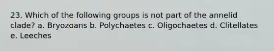 23. Which of the following groups is not part of the annelid clade? a. Bryozoans b. Polychaetes c. Oligochaetes d. Clitellates e. Leeches