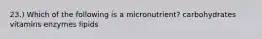 23.) Which of the following is a micronutrient? carbohydrates vitamins enzymes lipids