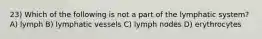 23) Which of the following is not a part of the lymphatic system? A) lymph B) lymphatic vessels C) lymph nodes D) erythrocytes