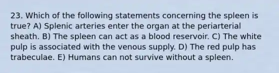 23. Which of the following statements concerning the spleen is true? A) Splenic arteries enter the organ at the periarterial sheath. B) The spleen can act as a blood reservoir. C) The white pulp is associated with the venous supply. D) The red pulp has trabeculae. E) Humans can not survive without a spleen.