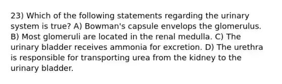 23) Which of the following statements regarding the urinary system is true? A) Bowman's capsule envelops the glomerulus. B) Most glomeruli are located in the renal medulla. C) The urinary bladder receives ammonia for excretion. D) The urethra is responsible for transporting urea from the kidney to the urinary bladder.