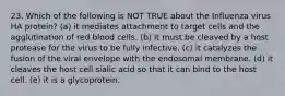 23. Which of the following is NOT TRUE about the Influenza virus HA protein? (a) it mediates attachment to target cells and the agglutination of red blood cells. (b) it must be cleaved by a host protease for the virus to be fully infective. (c) it catalyzes the fusion of the viral envelope with the endosomal membrane. (d) it cleaves the host cell sialic acid so that it can bind to the host cell. (e) it is a glycoprotein.