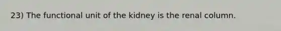 23) The functional unit of the kidney is the renal column.