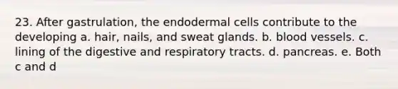 23. After gastrulation, the endodermal cells contribute to the developing a. hair, nails, and sweat glands. b. blood vessels. c. lining of the digestive and respiratory tracts. d. pancreas. e. Both c and d