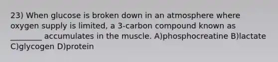 23) When glucose is broken down in an atmosphere where oxygen supply is limited, a 3-carbon compound known as ________ accumulates in the muscle. A)phosphocreatine B)lactate C)glycogen D)protein