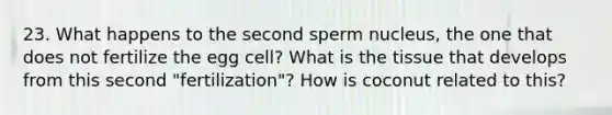 23. What happens to the second sperm nucleus, the one that does not fertilize the egg cell? What is the tissue that develops from this second "fertilization"? How is coconut related to this?